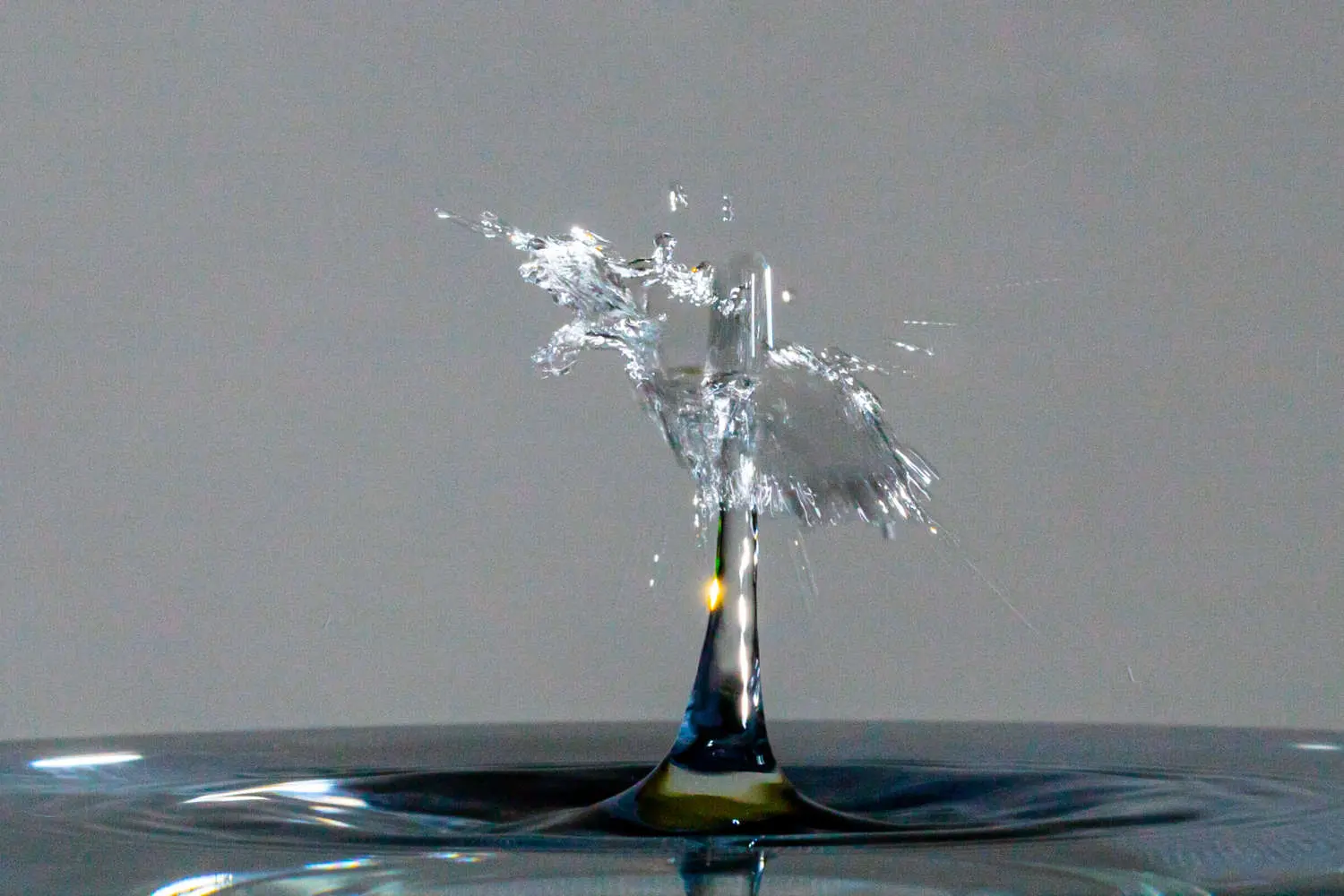Photograph: Tropfen 016 1500x1000