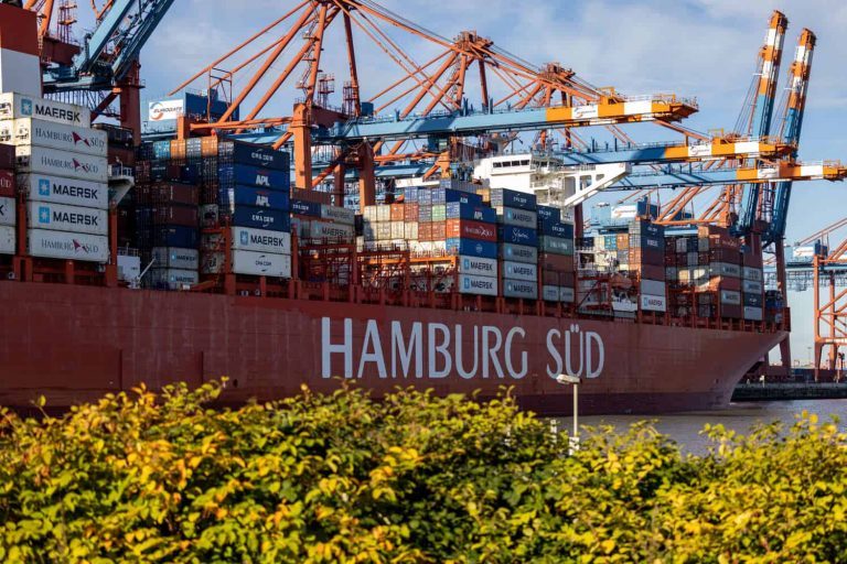 Containerschiff mit der Aufschrift an der Bordwand "Hamburg Süd", Hafenkräne und im Vordergrund einige Büsche