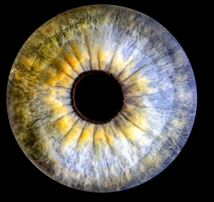 Photograph: Auge 3 1500x1416 1
