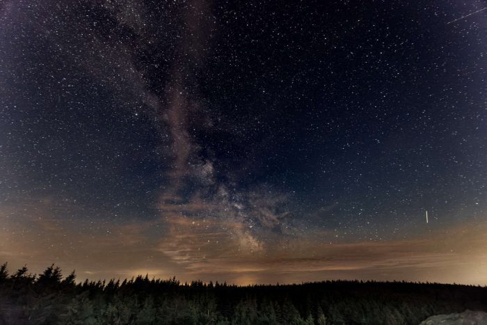 Wald im Vordergrund, Sternenhimmel mit Milchstraße