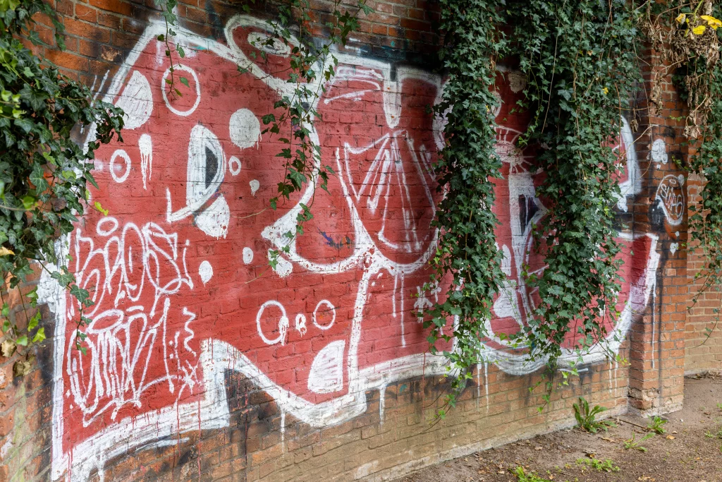 Rot-weißes Graffiti mit Efeu
