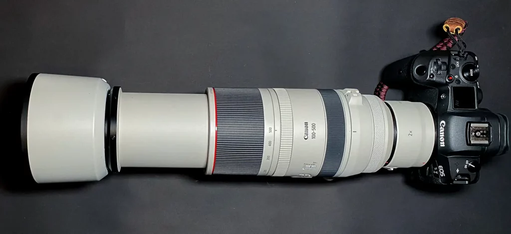 Canon EOS R5 + RF Extender 2x + RF 100-500 mm Objektiv