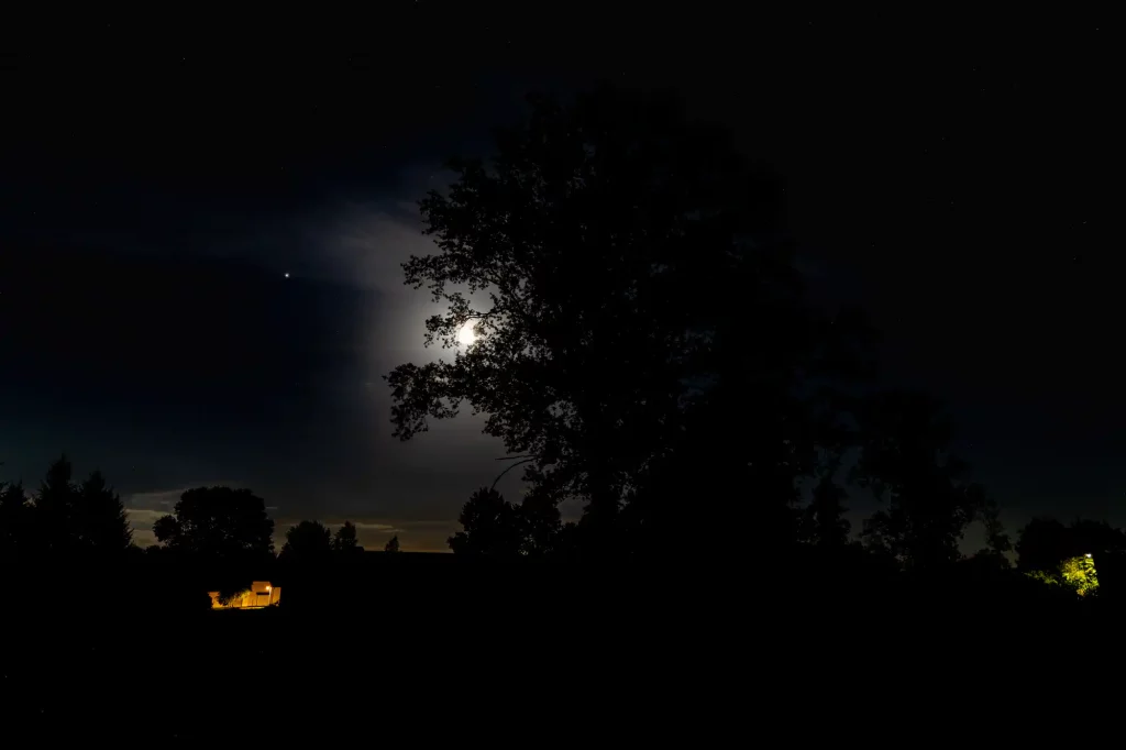 Der Mond hinter einem Baum, vereinzelnd noch einige beleuchtete Gebäude