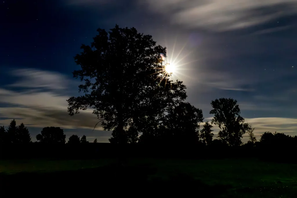 Mond hinter einem Baum - Blendensterne