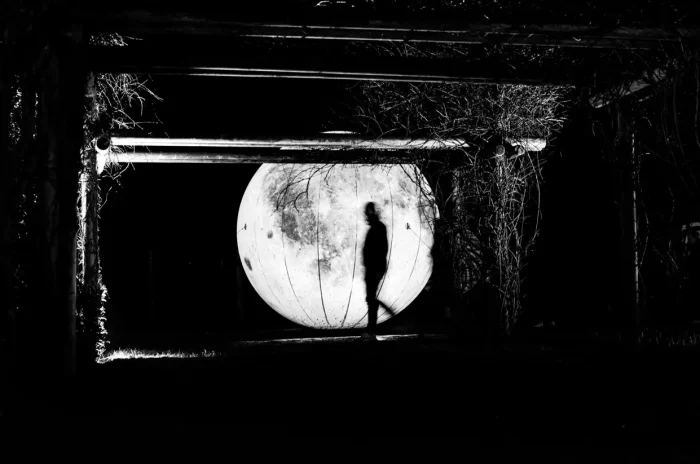 Die Silhouette einer Person, die vor einem großen kugelförmigen Objekt geht, das dem Mond ähnelt, eingerahmt von einer dunklen, spalierartigen Struktur mit überwucherten Ästen.