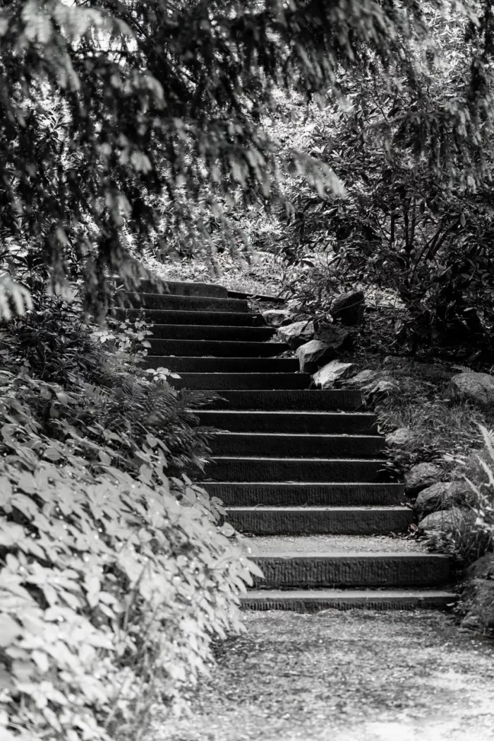 Schwarz-Weiß-Foto von Steinstufen in einem Waldgebiet, umgeben von dichtem Laub.