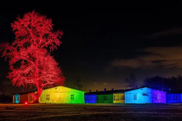 Eine nächtliche Szene mit einem bunten, rot beleuchteten Baum, neben mehreren grün-blau beleuchteten Holzgebäuden. Der Himmel ist dunkel mit einigen sichtbaren Wolken.