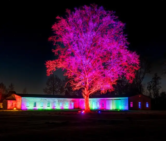 Ein hell beleuchteter Baum, der in Rosa- und Lilatönen beleuchtet ist, steht vor einem Gebäude, das mit grünen und blauen Lichtern beleuchtet ist. Die Szene spielt nachts und zeigt eine lebendige Farbdarstellung vor einem dunklen Himmel.