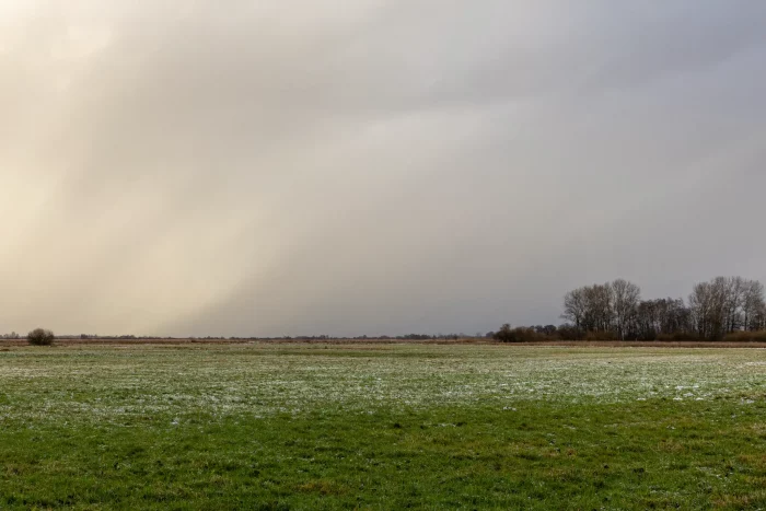 Ein breites, offenes Feld mit üppigem grünem Gras und weißen Frostflecken, unter einem bewölkten Himmel mit einem Lichtverlauf. Im Hintergrund markiert eine Baumlinie den Horizont.