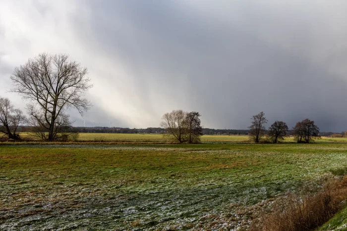 Ein weit geöffnetes Feld zeigt grüne und verstreute Bäume unter einem bedeckten Himmel, mit einem Hauch von Sonnenlicht, das durch die Wolken bricht.
