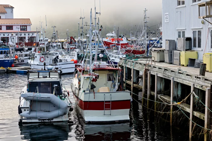 Mehrere Fischerboote und Schiffe liegen an einem Hafensteg, im Hintergrund ein Gebäude mit der Aufschrift 'Sjøhuset'
