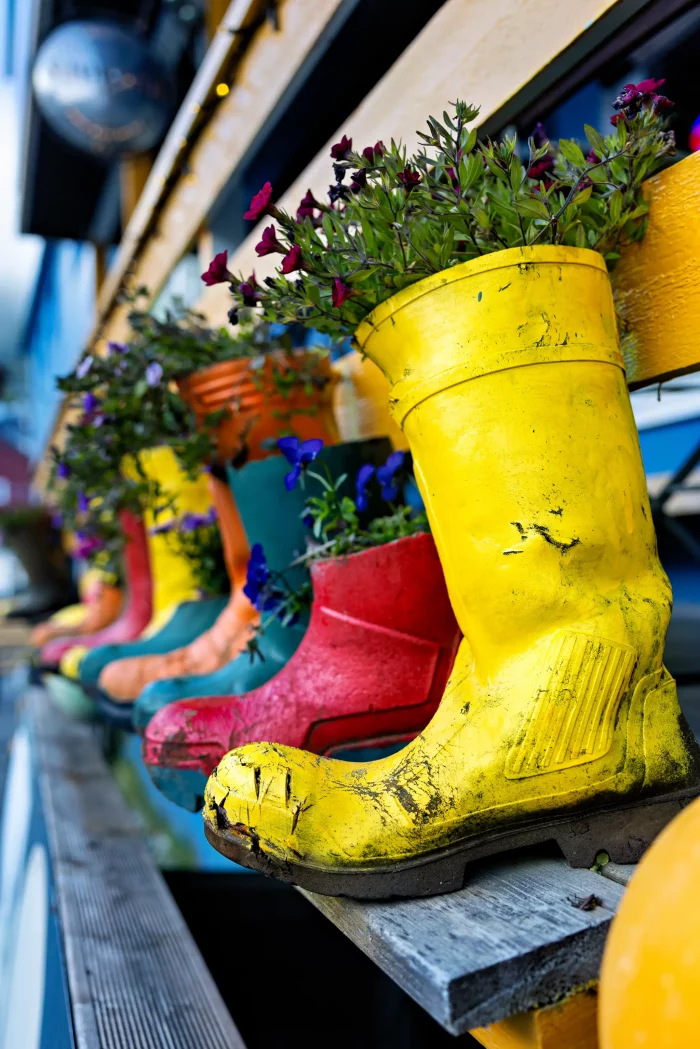 Bunte Gummistiefel als Pflanzgefäße mit blühenden Pflanzen auf einer Holzbank