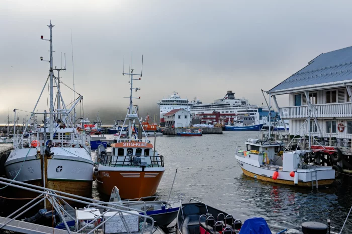 Mehrere Fischerboote und ein großes Kreuzfahrtschiff im Hafen bei bewölktem Himmel
