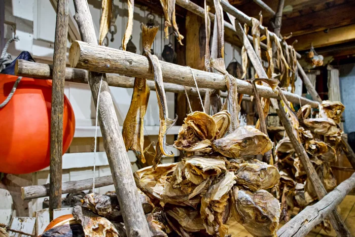 Web image: Hurtigruten 247