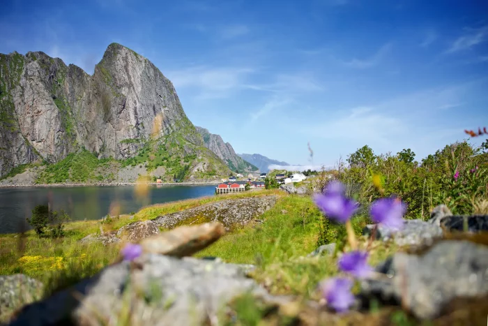 Felsige Berge neben ruhigem Wasser mit kleinen roten Häusern am Ufer und lila Blumen im Vordergrund