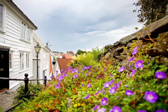 Bunte Blumen vor einer weißen Holzwand eines Hauses in einer kleinen Stadt mit roten Dächern unter bewölktem Himmel