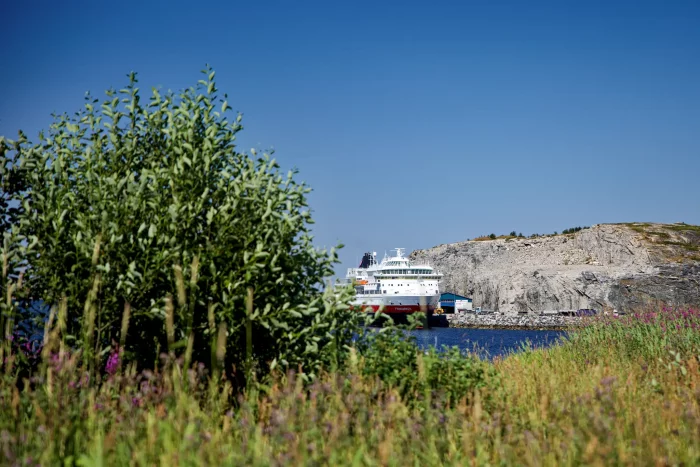 Hurtigruten-Kreuzfahrtschiff vor felsiger Küste, umgeben von grüner Vegetation und blauem Himmel