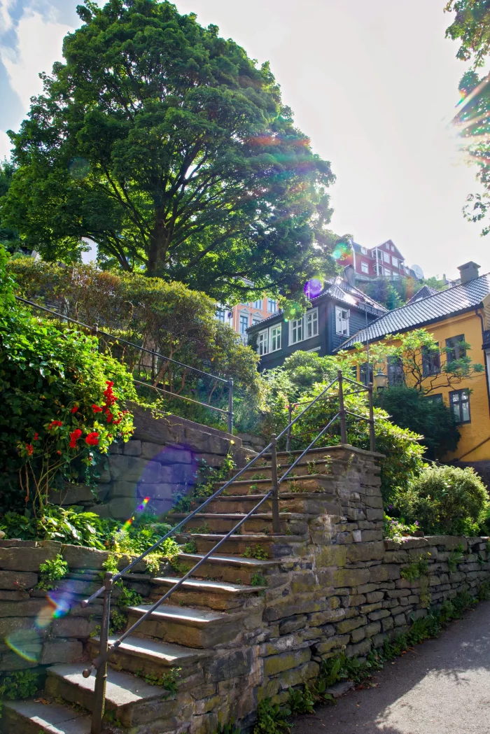Steintreppe mit Metallgeländer führt zu einem Garten mit roten Blumen, umgeben von grünen Büschen und großen Bäumen, im Hintergrund bunte Häuser