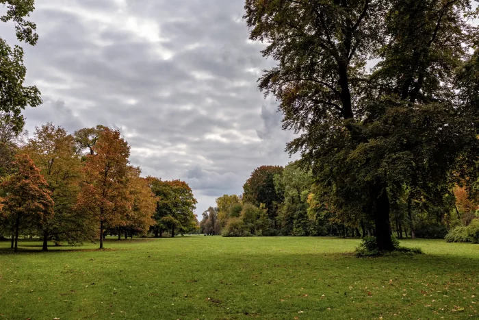 Weite Wiese im Englischen Garten in München, umgeben von Bäumen mit herbstlich gefärbtem Laub unter bewölktem Himmel.