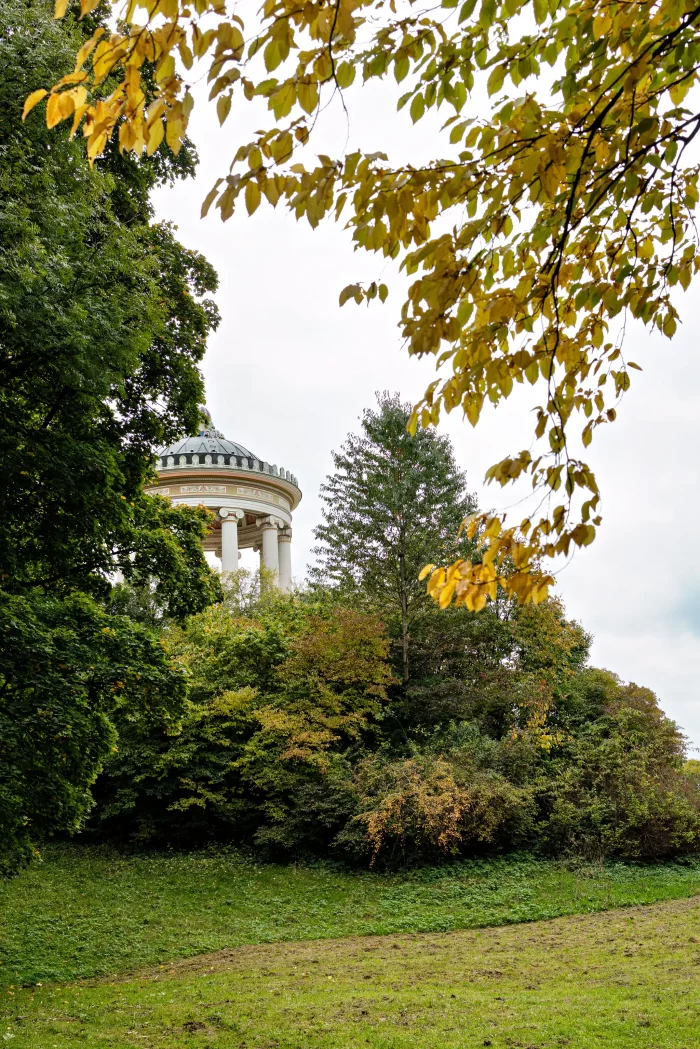 Der Monopteros im Englischen Garten in München, umgeben von grünen und gelb gefärbten Bäumen im Herbst.