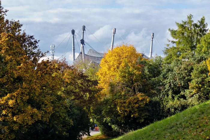 Herbstliche Bäume mit gelben und grünen Blättern im Olympiapark München, im Hintergrund die markanten Dachkonstruktionen des Olympiastadions.