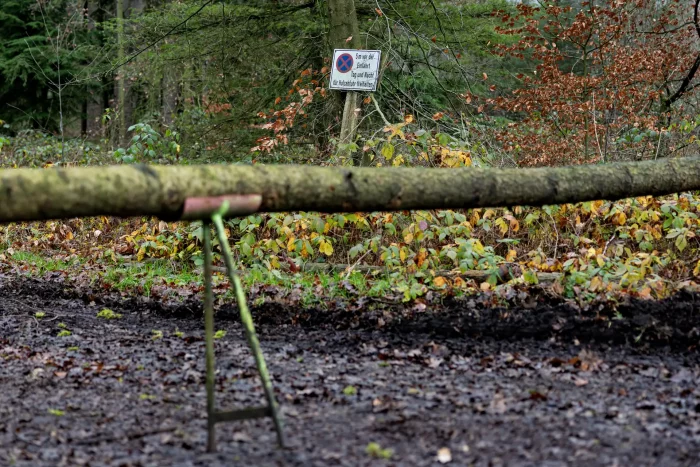 Langer Baumstamm liegt auf zwei Metallböcken vor einem Wald mit herbstlichem Laub und einem Verkehrsschild im Hintergrund.