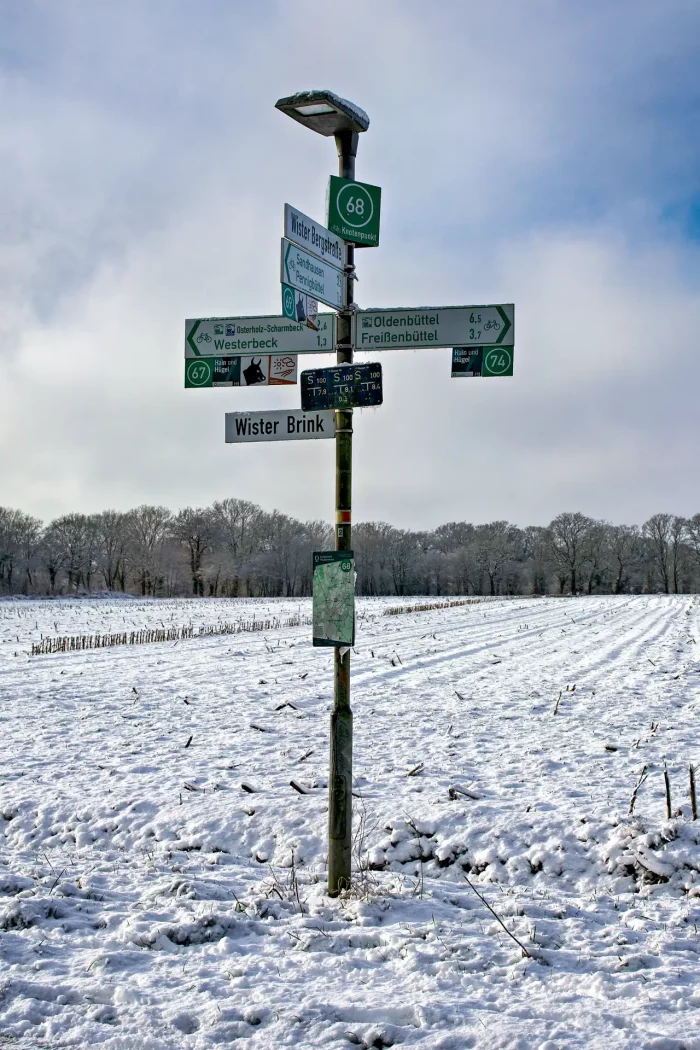 Wegweiser mit mehreren Schildern und einer Lampe auf einem schneebedeckten Feld vor kahlen Bäumen unter bewölktem Himmel