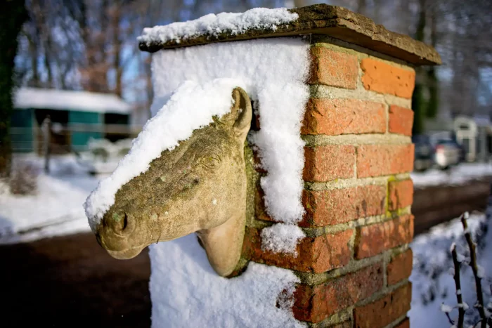 Pferdekopf-Skulptur aus Stein, die aus einer schneebedeckten Ziegelmauer herausragt