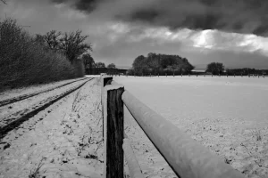 Schwarz-weiße Winterlandschaft mit schneebedecktem Feld, Zaunpfosten im Vordergrund und kahlen Bäumen am linken Bildrand