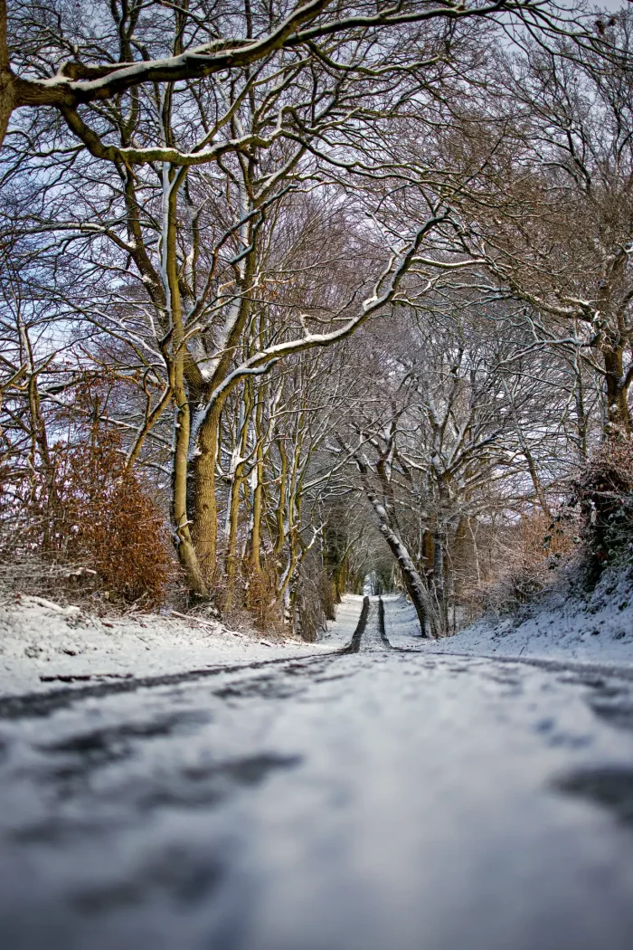 Schneebedeckter Weg, gesäumt von kahlen Bäumen mit leichtem Schneebelag auf Ästen, unter bewölktem Himmel