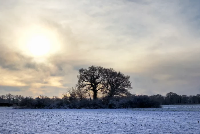 Winterliche Landschaft mit schneebedecktem Feld, kahlen Bäumen und bewölktem Himmel mit Sonne