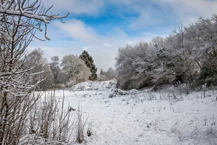 Winterliche Landschaft mit schneebedecktem Boden und Bäumen unter blauem Himmel mit Wolken