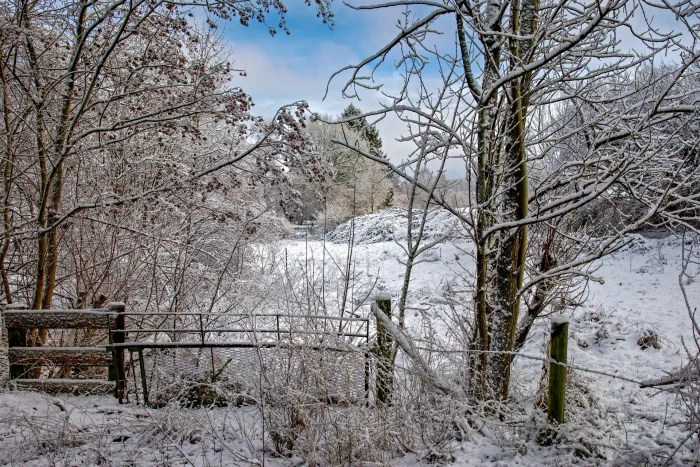 Winterliche Landschaft mit schneebedecktem Boden, kahlen Bäumen und einem kleinen Holztor