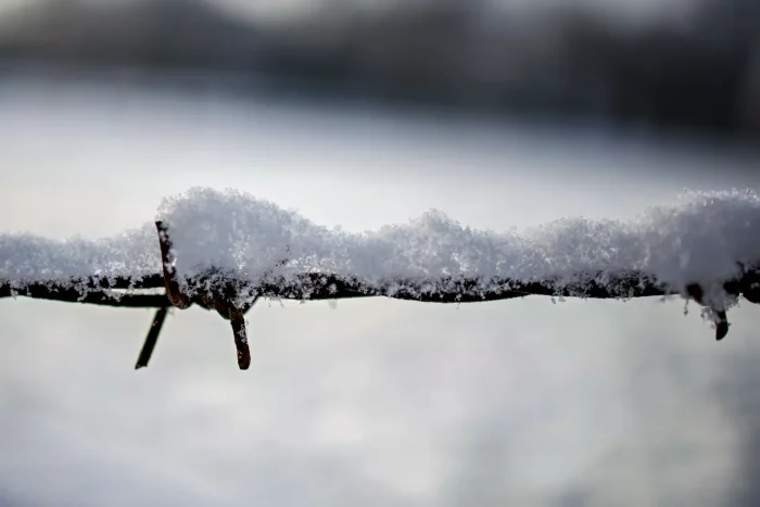 Nahaufnahme eines mit Schnee bedeckten Stacheldrahts im Winter