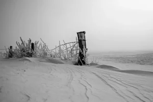 Schneebedeckter Zaun mit vereisten Ästen in einer winterlichen, nebligen Landschaft.