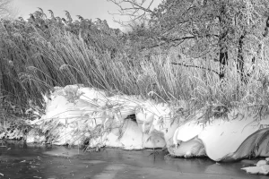 Vereiste Uferböschung mit hohem Schilf und Schnee, teilweise zugefrorener Flusslauf, im Hintergrund Bäume ohne Blätter.