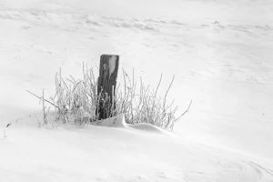 Ein einzelner Holzpfahl steht in einer schneebedeckten Landschaft, umgeben von kahlen Grashalmen.