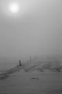 Schneebedeckter Weg mit Pfosten, der in dichten Nebel führt, die Sonne schwach sichtbar am Himmel.