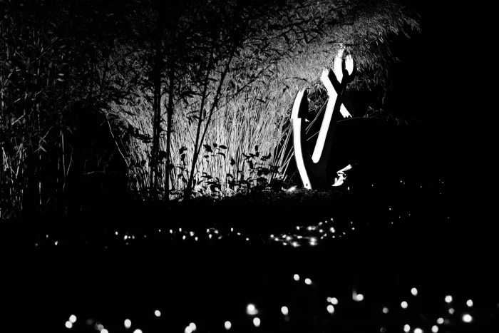 Leuchtendes Anker-Symbol vor hohem Gras und Büschen in dunkler Umgebung mit verstreuten Lichtern im Vordergrund