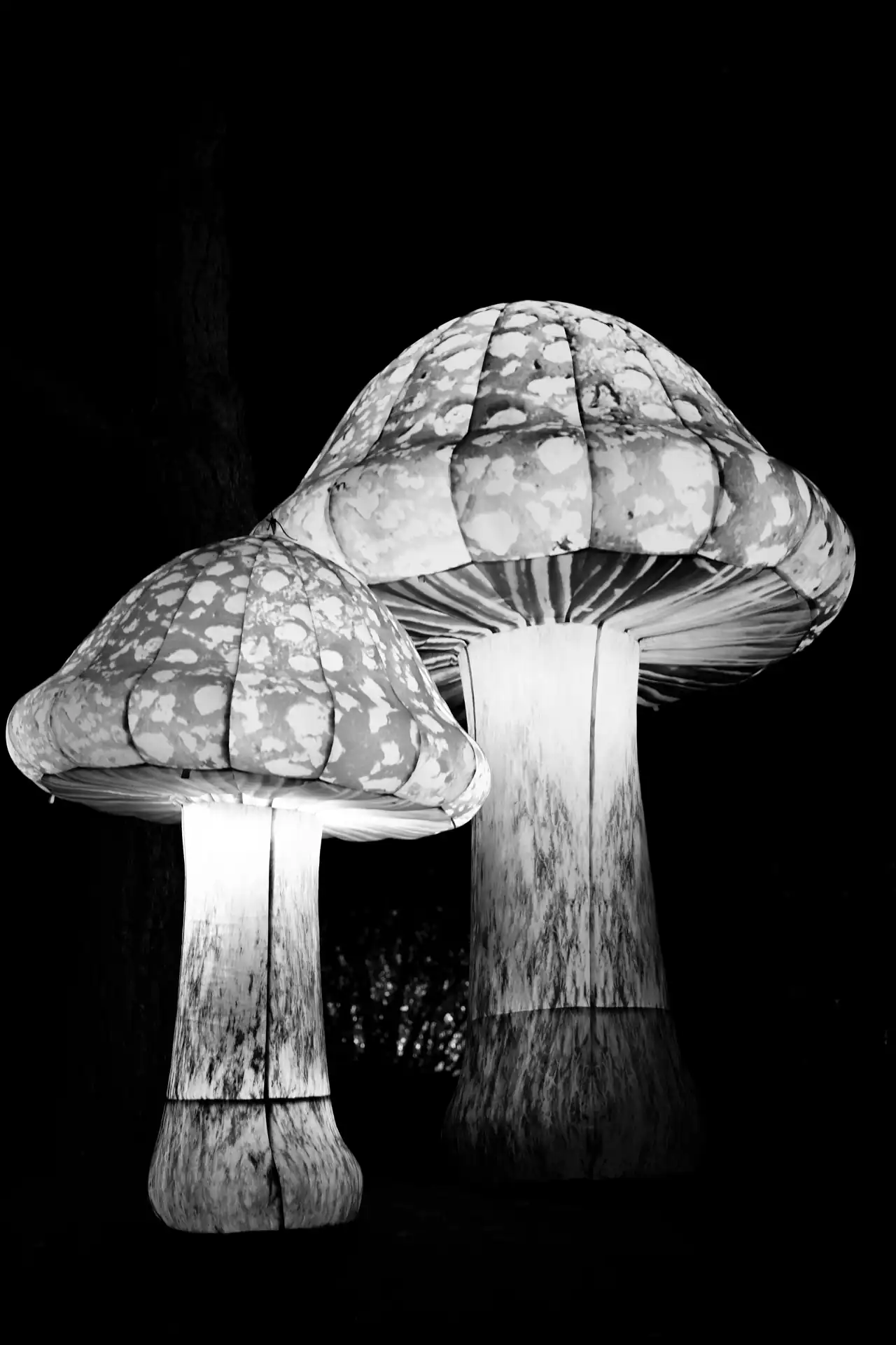 Zwei große leuchtende Pilzskulpturen vor dunklem Hintergrund