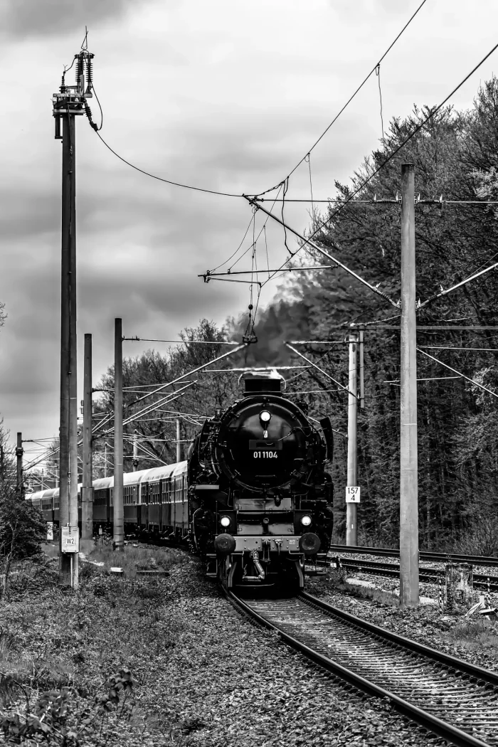 Historische Dampflok 011104 zieht einen Zug auf einer elektrifizierten Strecke mit Oberleitungen vor bewaldetem Hintergrund bei Lübberstedt