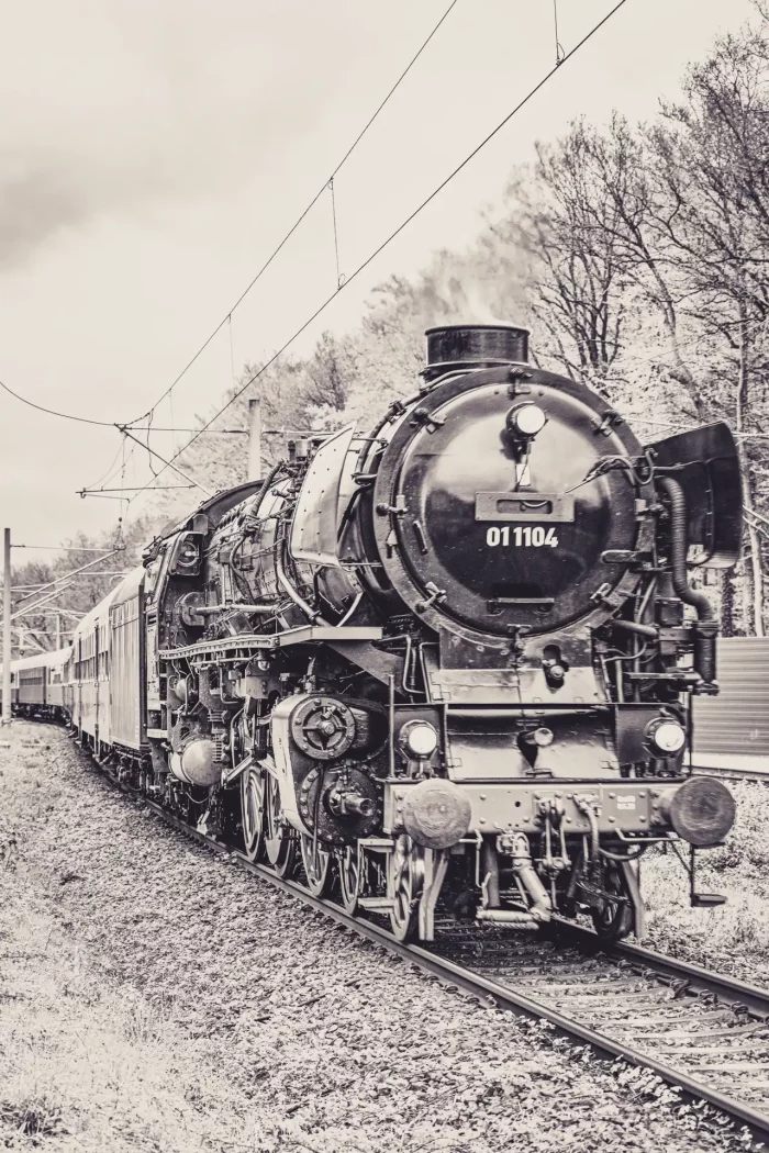 Schwarze Dampflok mit der Nummer 011104 zieht historische Waggons auf Gleisen durch eine grüne Landschaft mit Bäumen im Hintergrund