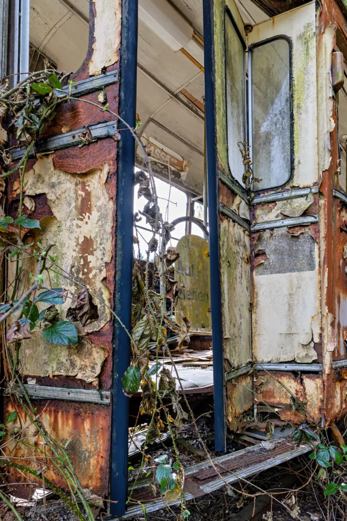 Nahaufnahme des offenen Eingangs einer verfallenen Straßenbahn mit abgeblättertem Lack, Rost und überwuchernden Pflanzen