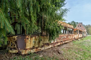 https://matthias-weber.online/wp-content/uploads/2026/04/Heinschenwalde-34-von-39.webp