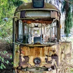 Verfallene Straßenbahn mit abblätterndem Lack und fehlenden Fenstern steht im Wald auf überwachsenem Gleisbett