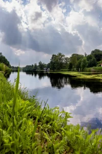 Flussufer mit grünen Pflanzen im Vordergrund und spiegelnder Wasseroberfläche unter bewölktem Himmel