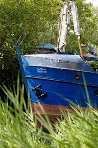 Vorderer Teil eines blauen Bootes mit dem Namen 'CAPTAIN DIMITRIOS' am Bug, umgeben von grünem Schilf und Bäumen