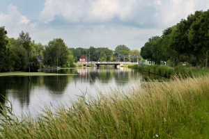 Fluss mit Brücke im Hintergrund, umgeben von Bäumen und hohem Gras im Vordergrund