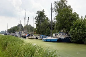 Mehrere Segelboote liegen an einem bewachsenen Ufer in einem schmalen, grünlich trüben Gewässer unter bewölktem Himmel